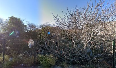 Lmsophro, Praticien de Médecine Alternative à Marseille 15