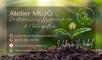 Atelier Mujõ, Naturopathie, Praticien de Médecine Alternative à Lutzelbourg