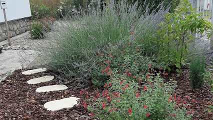 Vanessa Petit Nardou réflexologie, shiatsu détente, soulagement des douleurs, Réflexologue à Marmande
