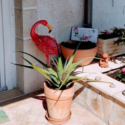 Carole BERRITZ Naturopathe, Praticien de Médecine Alternative à Dammarie-les-Lys