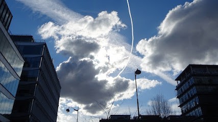 Alexandre LAURENT_Sophrologue, Praticien de Médecine Alternative à Pantin