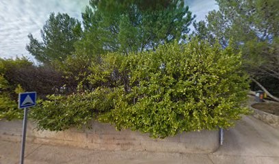 VINANIMA, Vina Adjonouokê, Praticien de Médecine Alternative à Combaillaux