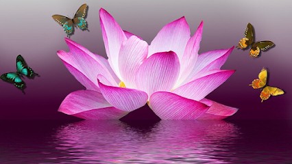 Cabinet De Sophrologie - Hypnose - MAP = EMDR - Psychothérapie, Praticien de Médecine Alternative à Meyzieu