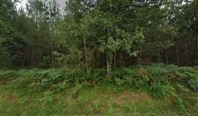 Charlotte saule naturopathe, Praticien de Médecine Alternative à Saint-Paul-lès-Dax