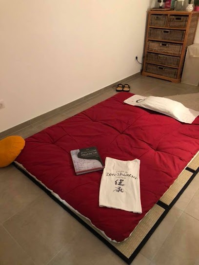 Shiatsu Cabinet Nam'asté, Praticien de Médecine Alternative à Eccica-Suarella