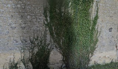 Benjamin Dricourt - Naturopathe Et Masseur à Domicile, Praticien de Médecine Alternative à Saint-Georges-lès-Baillargeaux