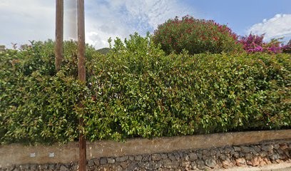 Cabinet Hypnose et Réflexologie plantaire Brigitte Lebédel, Thérapie MOSAÏC Diane Cazaux, Réflexologue à Carqueiranne