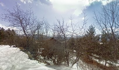 REFLEXOLOGUES - NATUROPATHES SOPHIE CAUTRES et HELENE TORNAMBE, Réflexologue à Saint-Michel-de-Chaillol