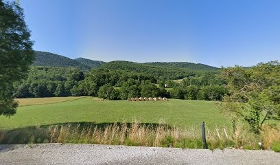 Sandrine Marcelli, Praticien de Médecine Alternative à L'Herm