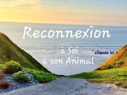 Cécile Bisiaux Naturo-Energéticienne, Hypnopraticienne, Praticien de Médecine Alternative à Petit-Caux