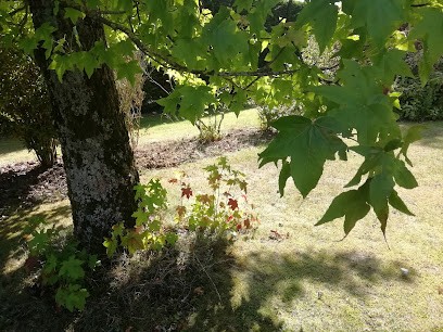 Morawa Cardon Nathalie, Praticien de Médecine Alternative à Neuve-Chapelle