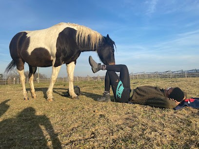 Les Médiations D'Hamaya, Praticien de Médecine Alternative à Morancé