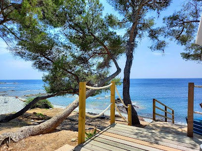 ACAE - Julie Magnan - Énergéticienne - Praticienne En Ayurveda - Kobido, Praticien de Médecine Alternative à Manosque