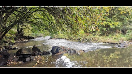 Magnétisme Bien-être, Praticien de Médecine Alternative à Saint-Hilaire-des-Landes
