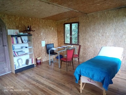 ethno médecine traditionnelle chinoise La petite idée, Vincent RAUDIN, Praticien de Médecine Alternative à Guipry-Messac