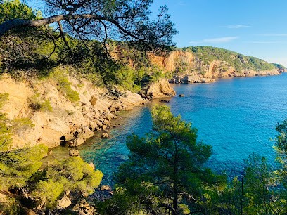 Estelle Taraud, Praticien de Médecine Alternative à La Cadière-d'Azur