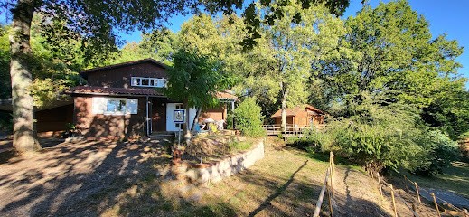 Passiflore Naturopathie - Flore SAGNES, Praticien de Médecine Alternative à Lapeyrouse-Fossat