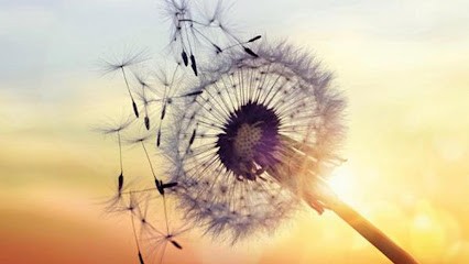 Hypnothérapeute Quinzin Catherine, Hypnothérapeute à Alençon