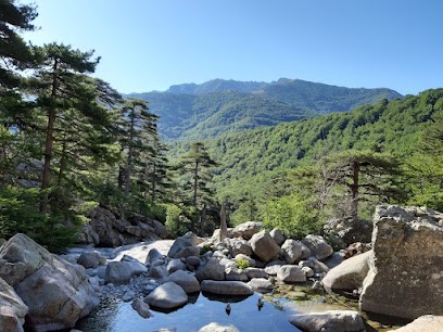 Vanina Ferri-Decazes Naturopathe, Praticien de Médecine Alternative à Paris 16