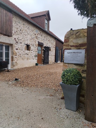 Thérapeute Énergéticienne, Praticien de Médecine Alternative à Saint-Léonard-des-Bois