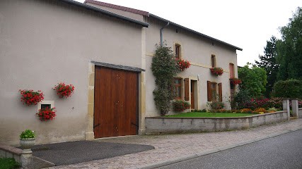 Achini Patrick, Hypnothérapeute à Sanry-lès-Vigy