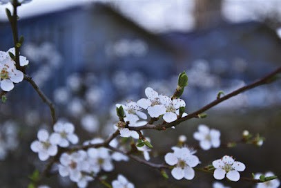Bérangère Thiout - Sophrologue, Praticien de Médecine Alternative à Vernouillet