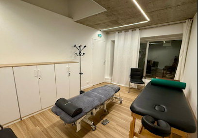 Gomes Magnétiseur Guérisseur Et Rebouteux (Paris 11E), Praticien De Médecine Alternative à Paris 11