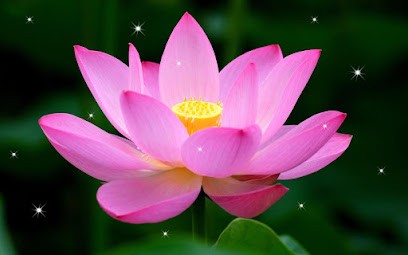 Hypnose à Toulouse, Hypnothérapeute à Cugnaux