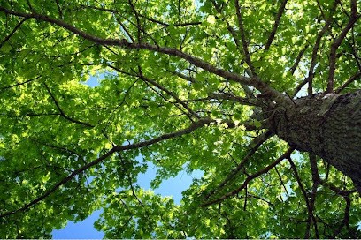 Hypnothérapie et psychothérapie intégrative adultes et enfants, Hypnothérapeute à Pont-Hébert