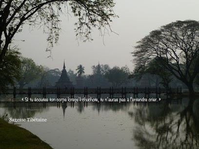 Florence PIROU Réflexologue, Réflexologue à Saint-Yvi