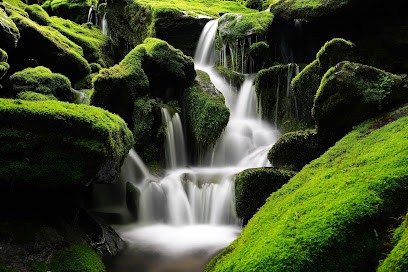 Julien Mariet Naturopathe, Praticien de Médecine Alternative à Solliès-Toucas