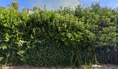 Monique Alésiardo-Schutz Sophrologue Sophrothérapeute Praticienne En Hypnose, Praticien de Médecine Alternative à Mandelieu-la-Napoule