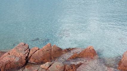 Formule Réflexologie, Réflexologue à Isneauville