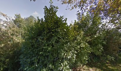 O'ra, Praticien de Médecine Alternative à Menthonnex-en-Bornes