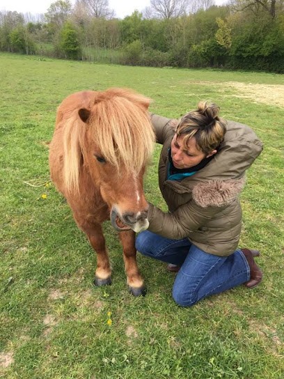 Martine Latronico magnétiseur, Praticien de Médecine Alternative à Grez