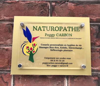 Peggy Carbon Naturopathe Tourcoing/Mouvaux, Massages Bien-Être, Kobido, Shirotchampi, Drainage Lymphatique Manuel, Praticien de Médecine Alternative à Tourcoing