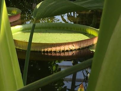 Alice Capronnier Energétique Chinoise, Praticien de Médecine Alternative à Lyon 01