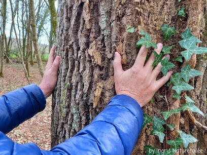 Ingrid JANOT - Thérapeute Holistique - Énergéticienne _ Bains De Forêt à St Projet En Charente, Praticien de Médecine Alternative à Agris