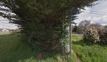 Anna GOUGEON - Thérapie Intégrale - Psycho-émotionnel et systémique, Praticien de Médecine Alternative à Sucé-sur-Erdre