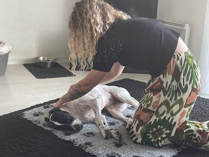 Kalon Naturae - Naturopathie Et Bien être Animalier, Praticien de Médecine Alternative à La Vraie-Croix