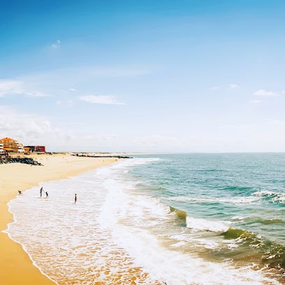 Camille Gay Énergéticienne, Praticien de Médecine Alternative à Capbreton