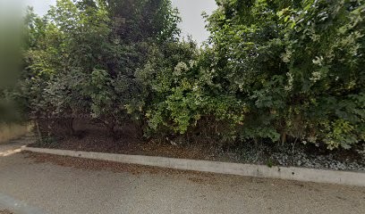 Claire CAILLERET, Hypnothérapeute à Plaimpied-Givaudins