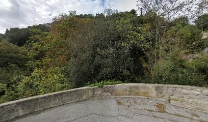 Praticien Quantique, Praticien de Médecine Alternative à Menton