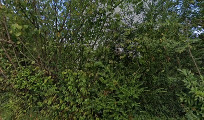 Capala Lutz - Eliane Andrieu, Praticien de Médecine Alternative à Montardon