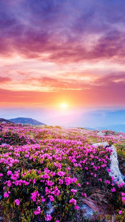 Mention Isabelle, Réflexologue à Nivillac