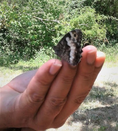 Therapeute Magnétiseur, Praticien de Médecine Alternative à Marguerittes
