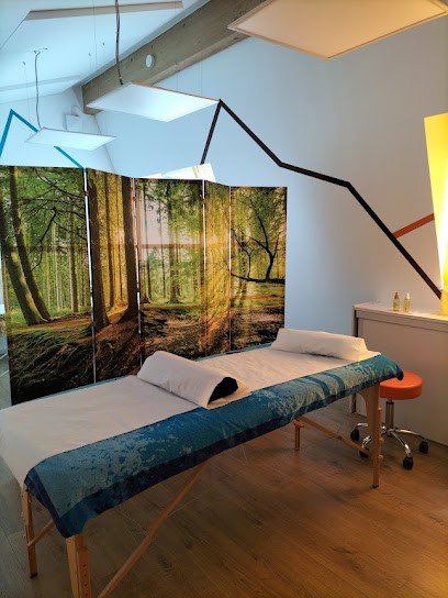 Réflexologue RNCP - Relaxologue Christine VAZ, Réflexologue à Bron