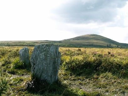 Ludovic Duperrex Géobiologue, Praticien de Médecine Alternative à Vaour
