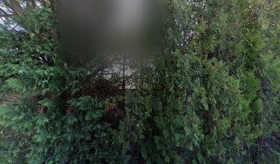 Magnetisme, Sophromagnetisme et Geobiologie, Praticien de Médecine Alternative à Cavaillon