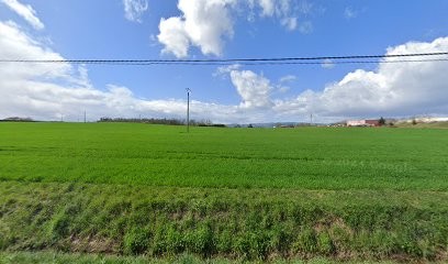 Naturo Féminin Inès KADMIRY Naturopathe, Praticien de Médecine Alternative à Villerest